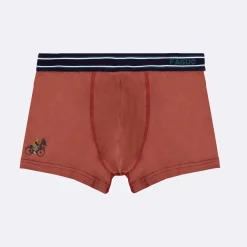 Boxer Bleu Marine & Gris Chine Clair